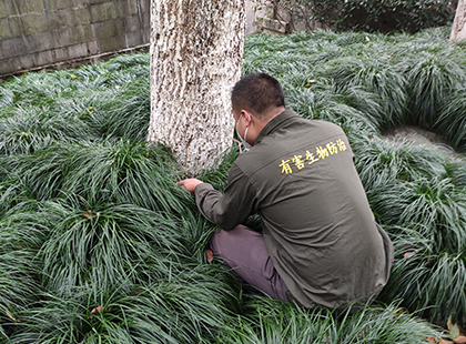 案例展示